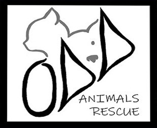 ODD Animals Rescue logo